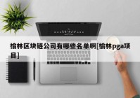 榆林区块链公司有哪些名单啊[榆林pga项目]